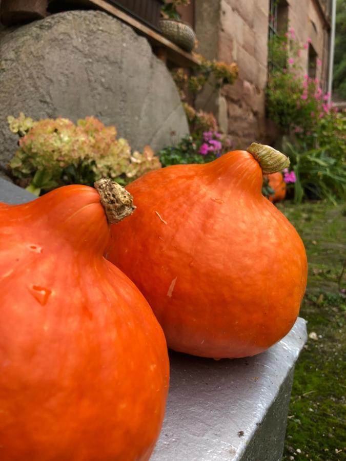 Ferienwohnung Kroppenmuehle Schoenburg Bagian luar foto